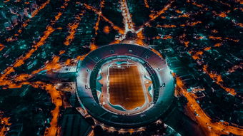 爱游戏官网-爱尔兰青训系统助力橄榄球未来腾飞，爱尔兰橄榄球联盟